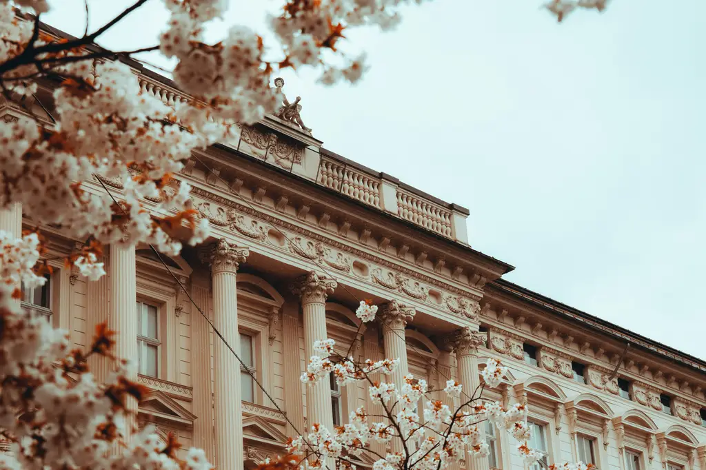 最新Dell12代筆電：台灣頂尖筆電指南