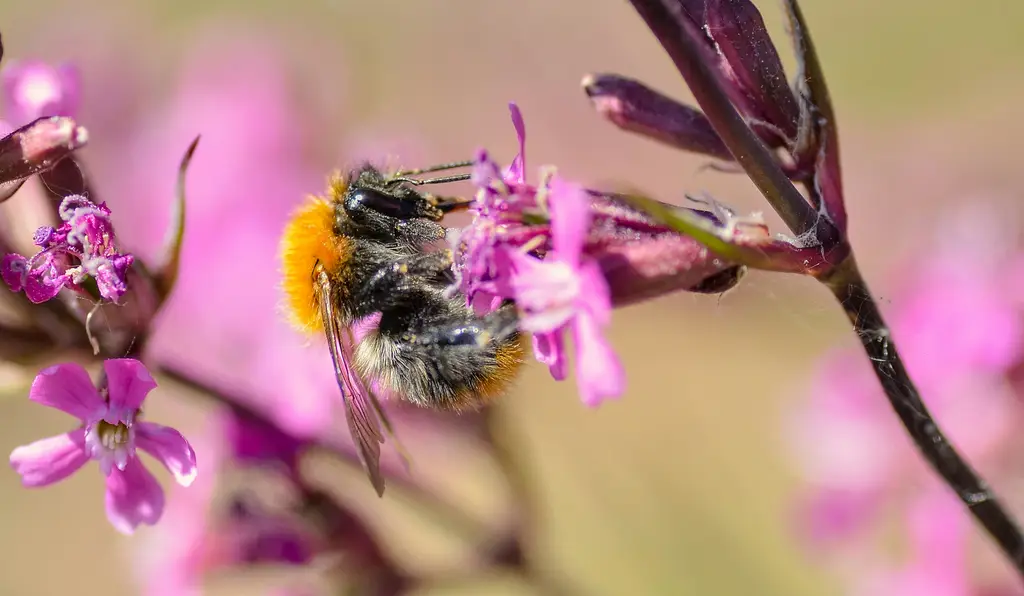 17吋觸控筆電：大螢幕、高互動的行動工作站
